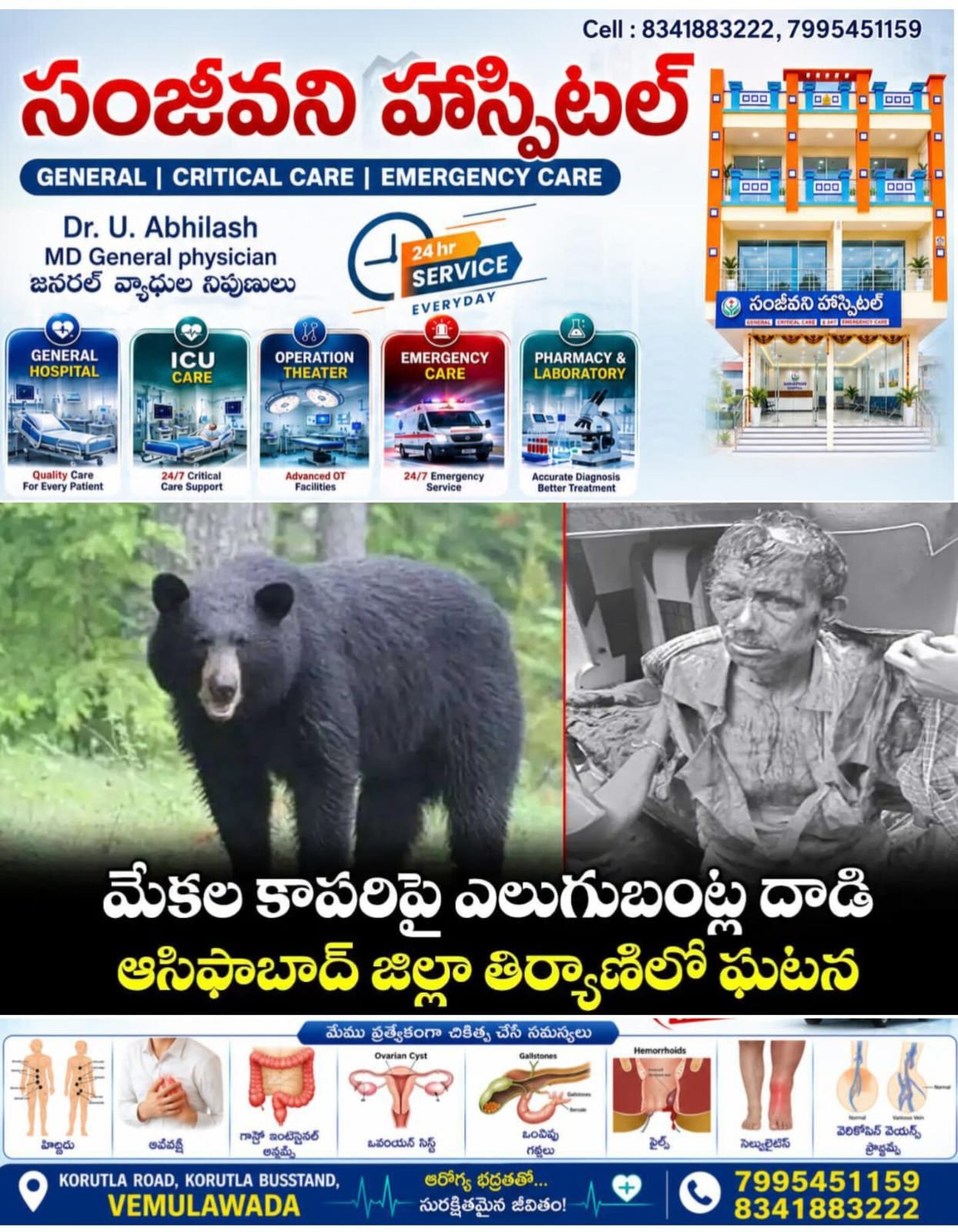 ఆసిఫాబాద్ జిల్లాలో ఎలుగుబంటి  దాడిలో గాయపడిన గొర్రెల కాపరి