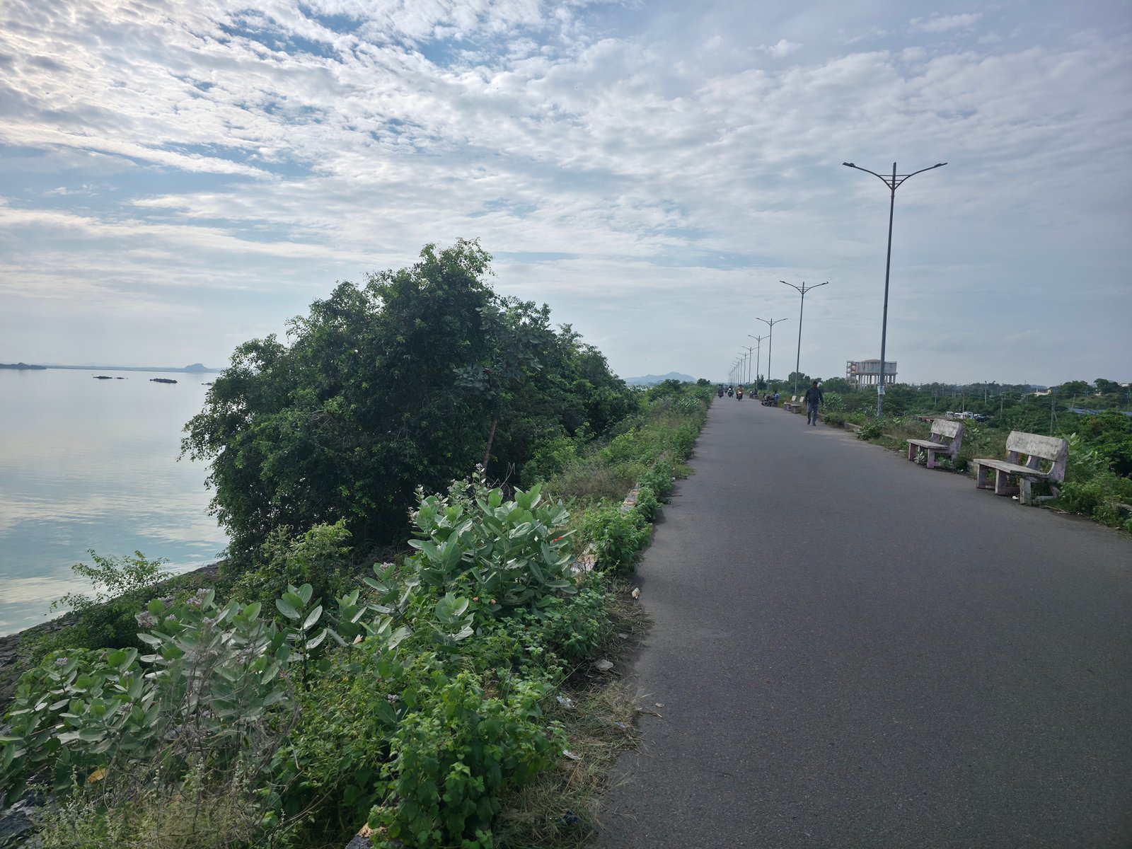 ఎల్ఎండి కట్టపైనే భారీ వృక్షాలు.. ప్రజల ప్రాణాలతో చెలగాటమాడుతున్న అధికారుల నిర్లక్ష్యం